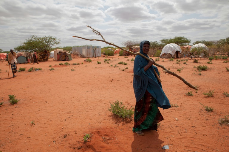 Six million need aid in drought-hit parts of Ethiopia: UN