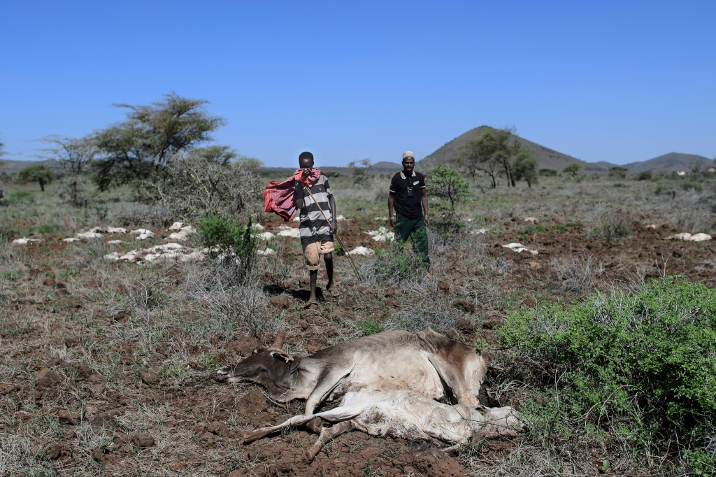 Livelihoods lost as climate disaster woes mount in Kenya