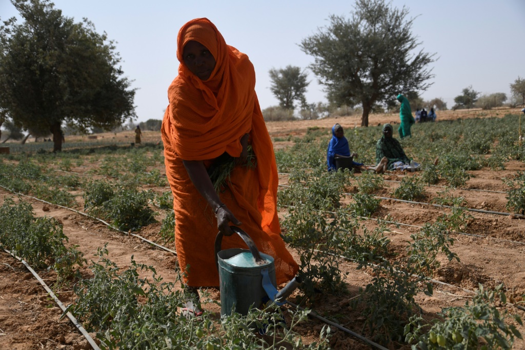 Malian refugees building ‘future’ in Niger