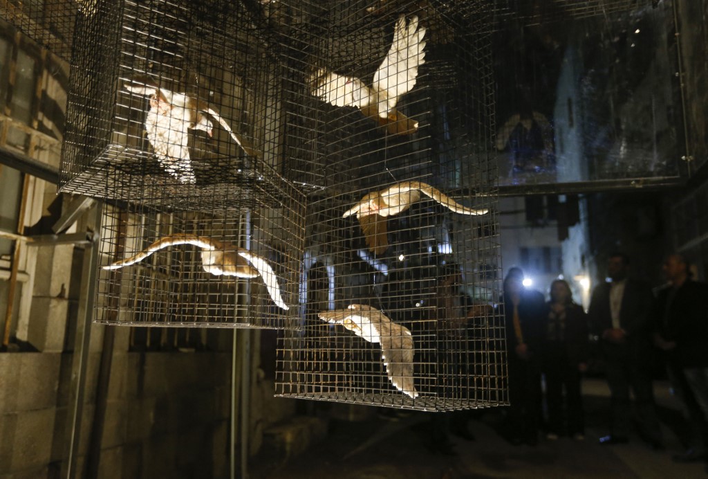 Damascus art installation turns ceramic doves into war symbol