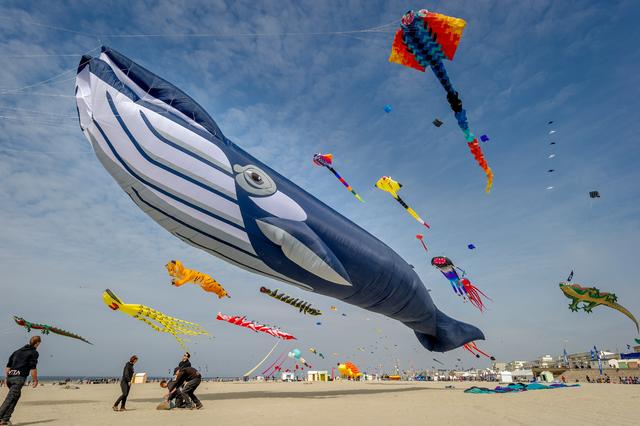 35th International Kite Festival kicks off in Berck