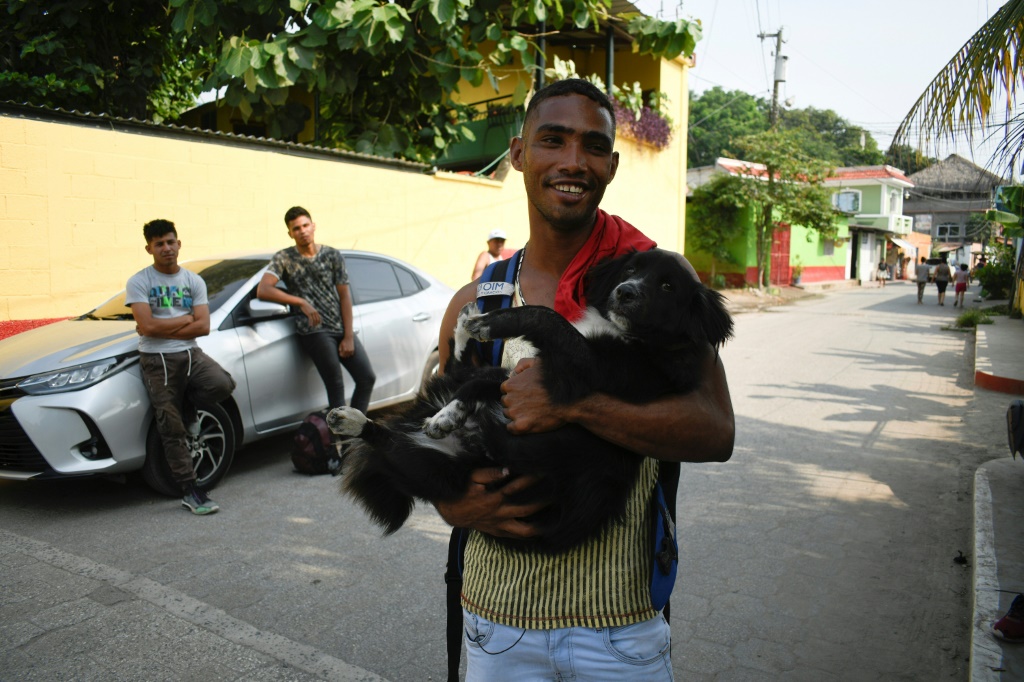 Dogged determination: migrant and pup cross eight countries en route to US