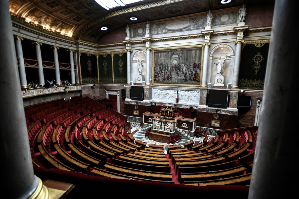 French parliamentary election: what’s at stake?