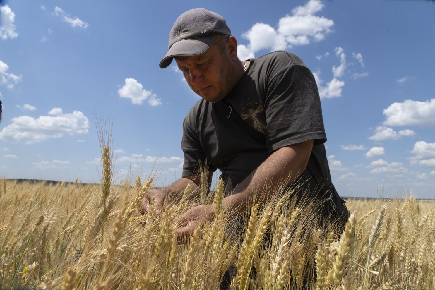 Zelensky says Russia-Ukraine grain deal needed to solve food crisis