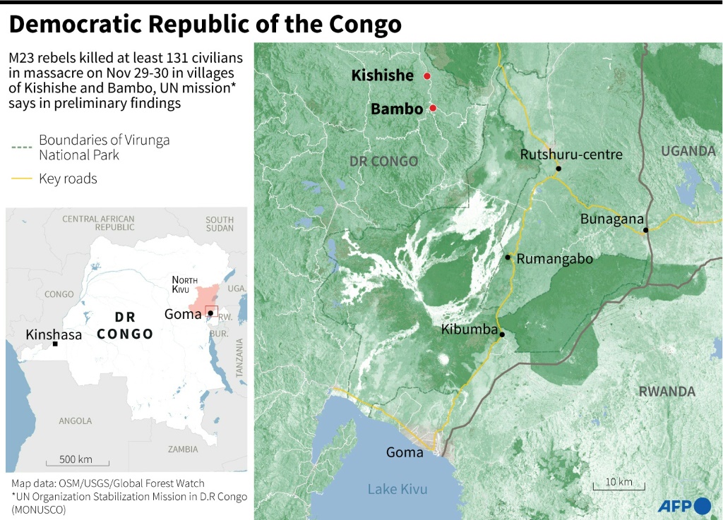 UN experts point to Rwandan role in east DR Congo rebel crisis