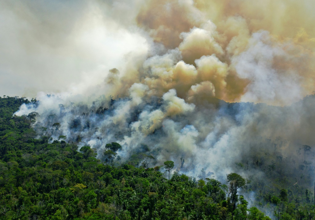 Amazon forests save $2bn in pollution healthcare: study