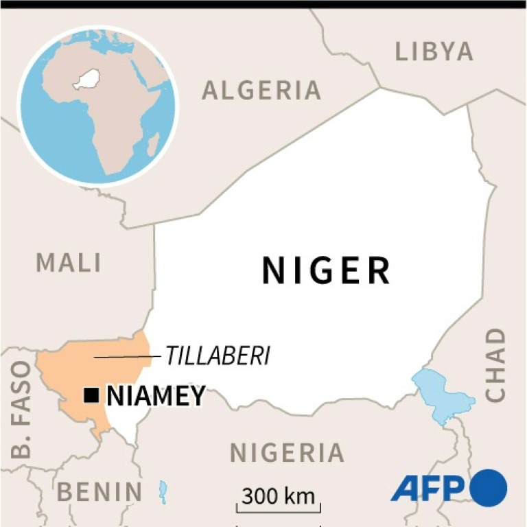 Two IS jihadists arrested in Niger joint operation: security source