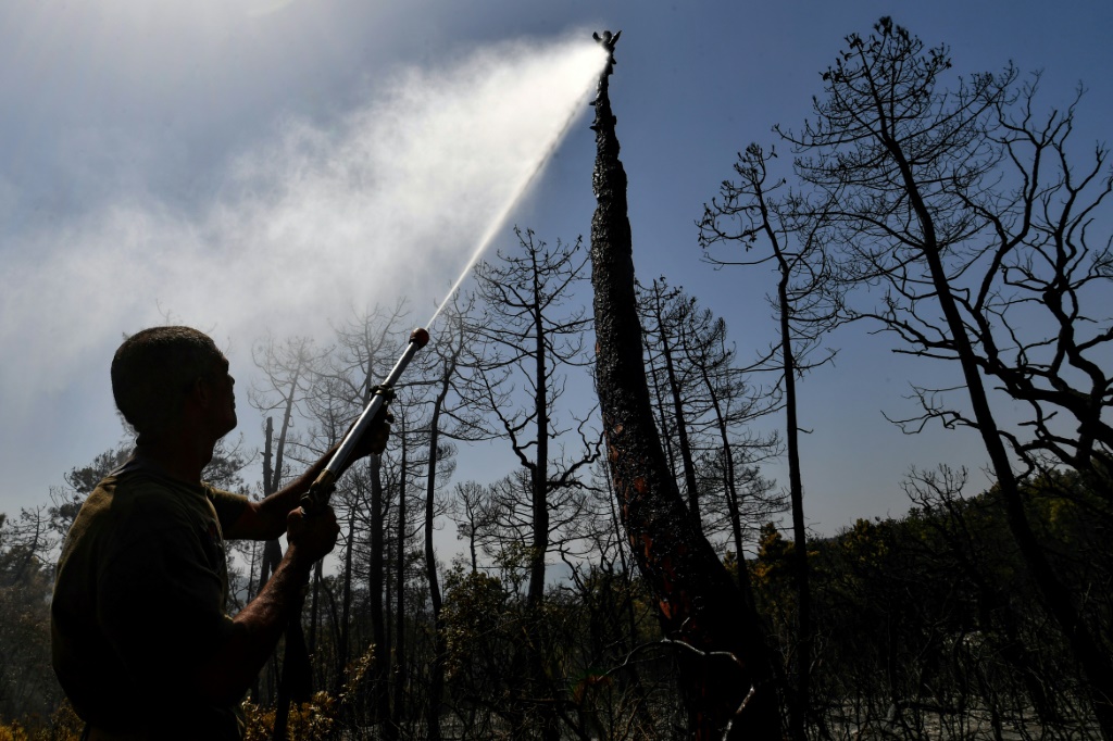 Tunisia firefighters battle forest blaze on Algeria border