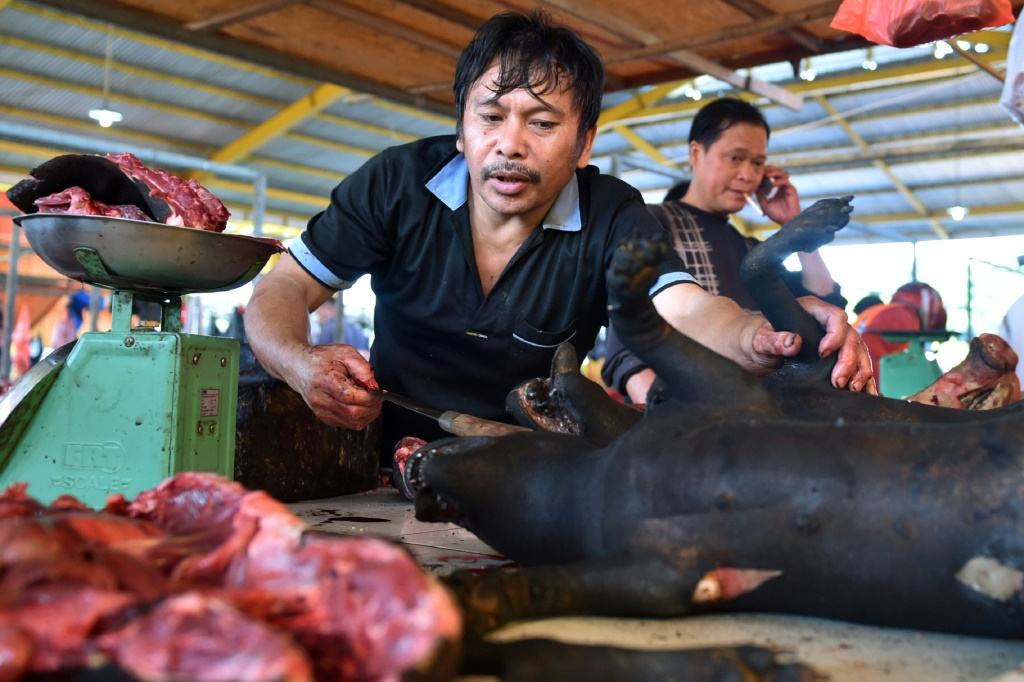 ‘Extreme’ Indonesian market ends dog, cat meat trade