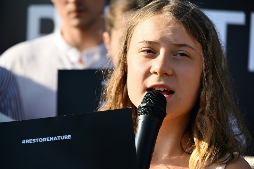 Greta Thunberg goes on trial over Swedish climate protest