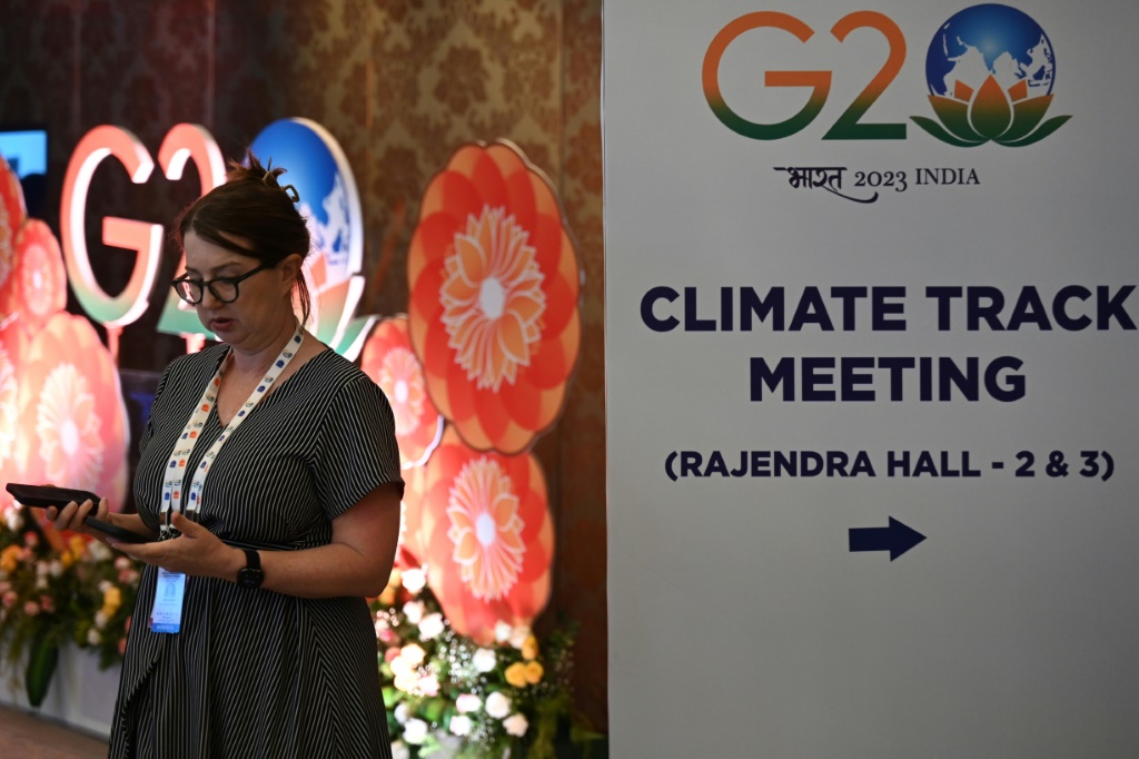 G20 environment ministers race to reach climate consensus