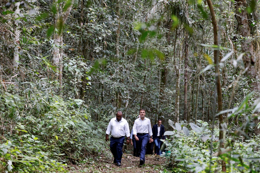 French leader goes green to woo Pacific islands