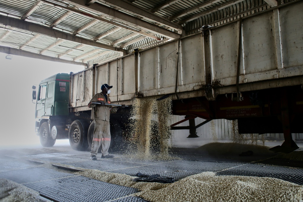 Zimbabwean farmers buckle under El Nino drought