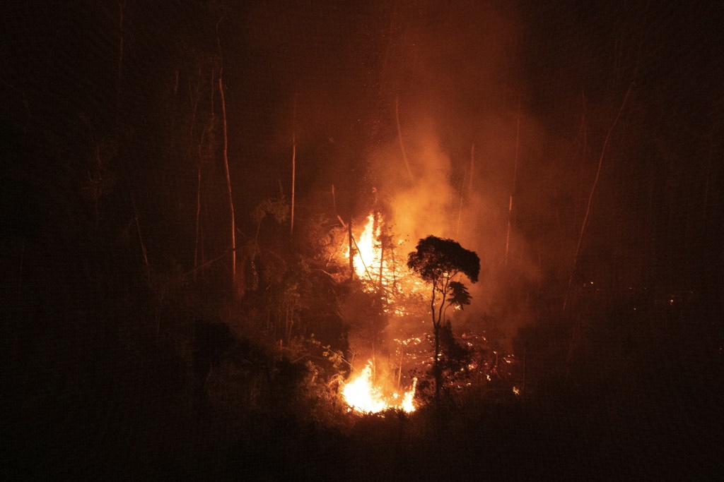 Brazil reports more Amazon fires so far this year than all of 2021