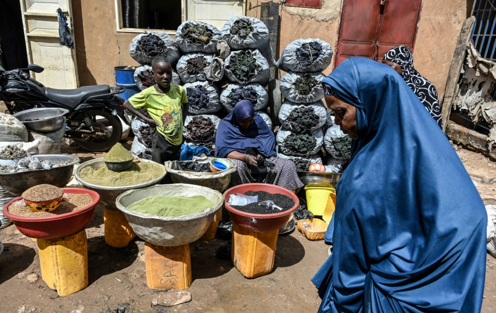 In post-coup Niger, many salute ‘liberation’ despite outcry